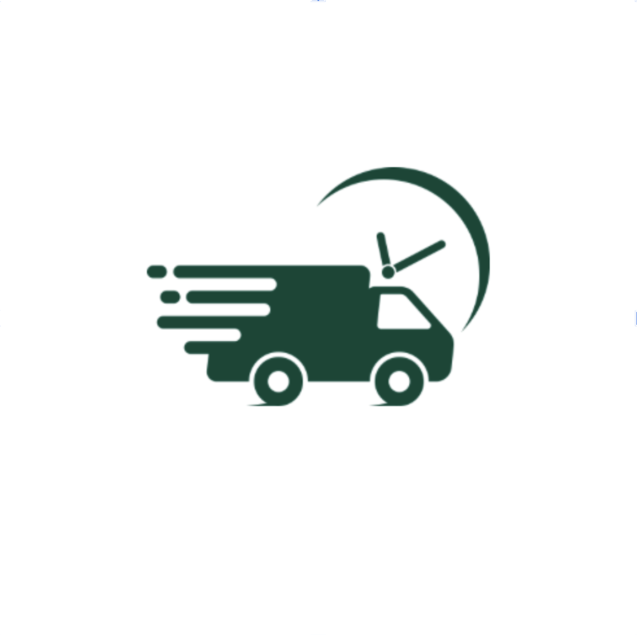 Fast & Predictable Service icon